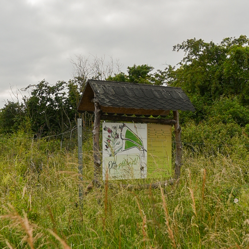 Otto pflanzt! Schild auf einer Wiese