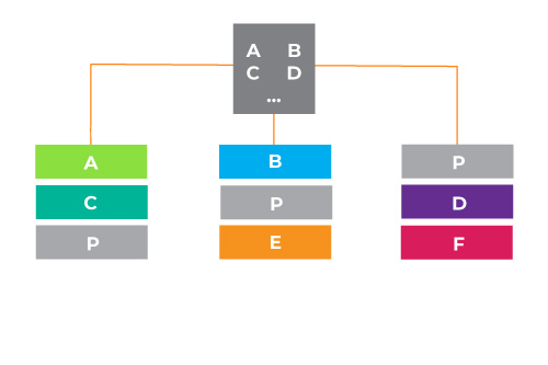 Graphic showing the breakdown of the data set