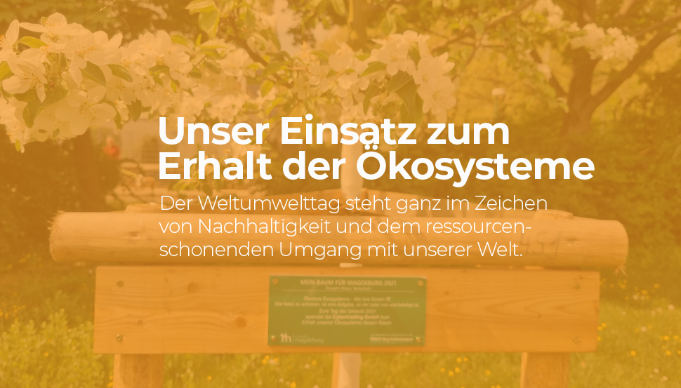 Logo Stadt Magdeburg mit Magdeburger Reiter